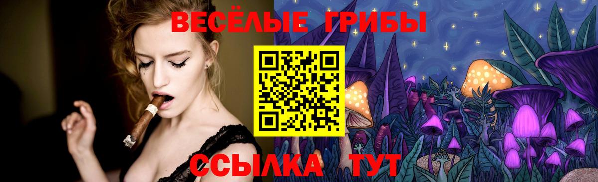 Конаково  Галлюциногенные грибы Psilocybine cubensis  Вход с VPN 